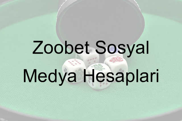 Zoobet sosyal medya